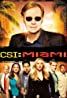 ดูหนังออนไลน์ CSI Miami (season 1) EP.20 ซีเอสไอ ไมอามี ปี 1 (2003) EP.20