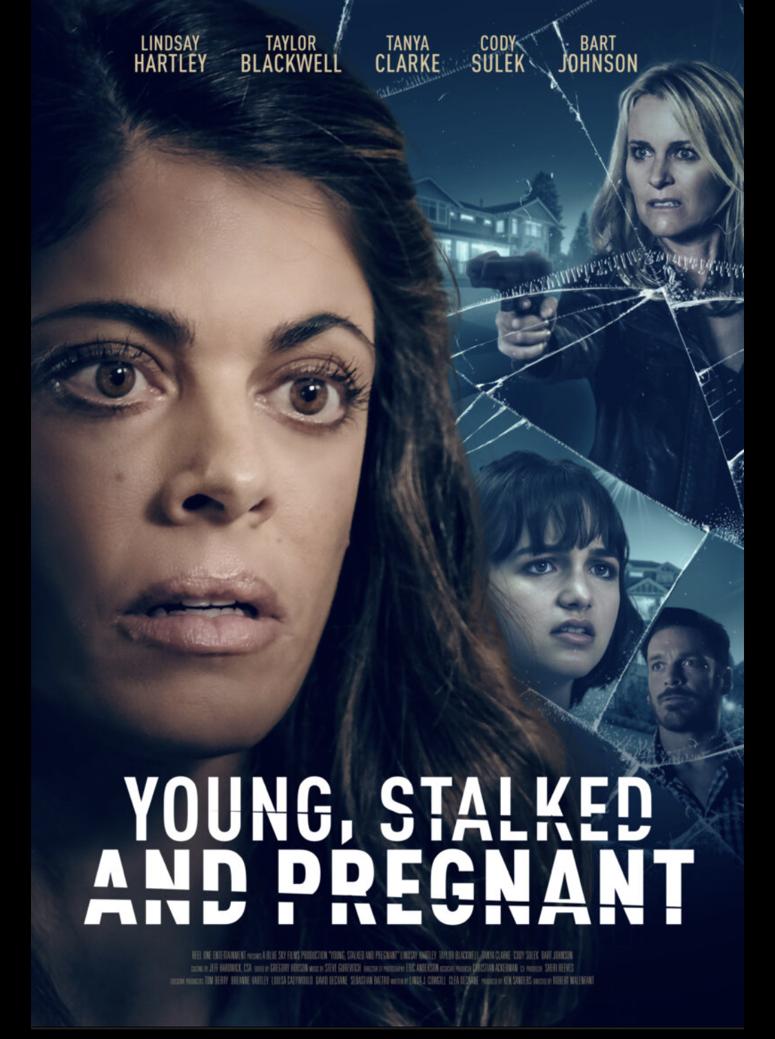 ดูหนังออนไลน์ Young, Stalked and Pregnant (2020)