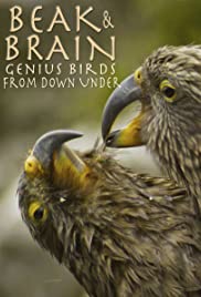 ดูหนังออนไลน์ฟรี Beak & Brain Genius Birds from Down Under (2013) (ซาวด์แทร็ก)