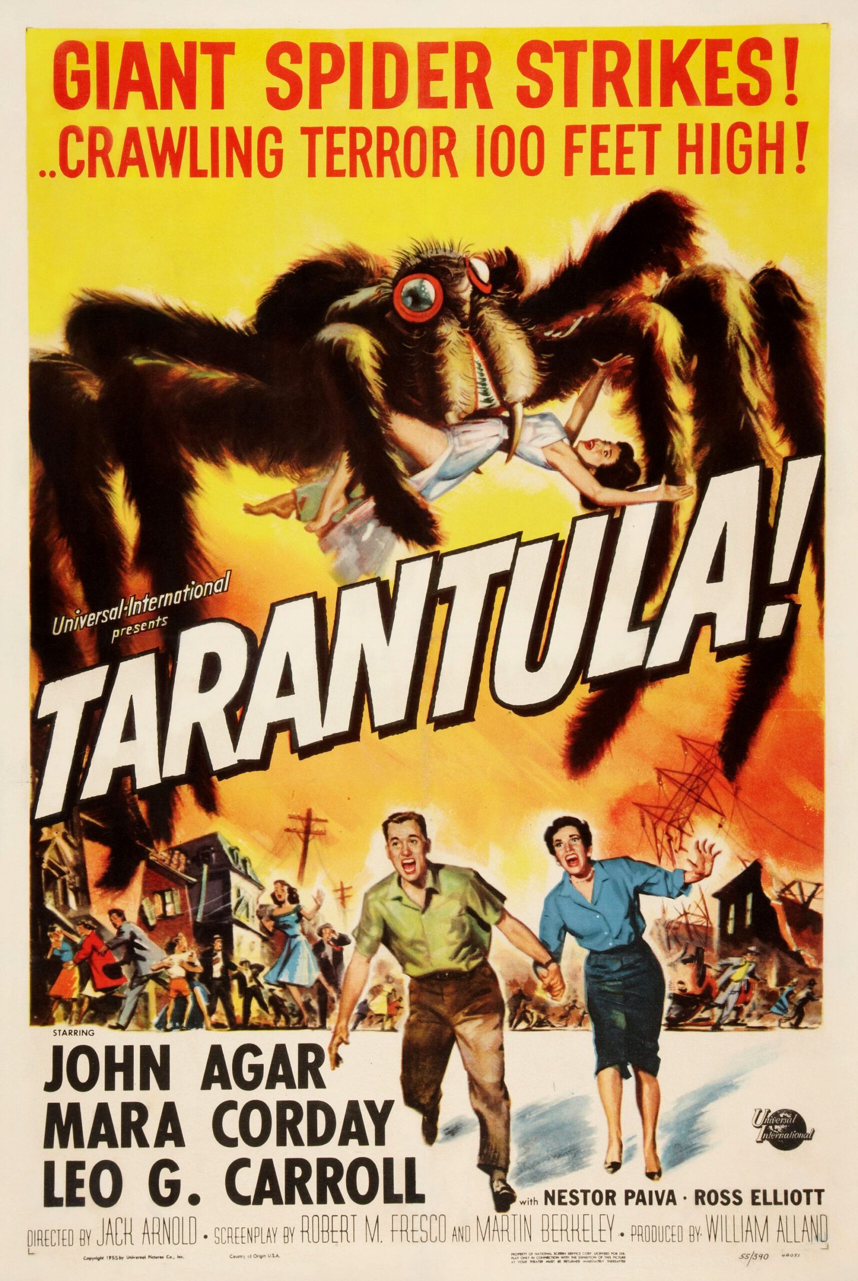 ดูหนังออนไลน์ฟรี Tarantula (1955)